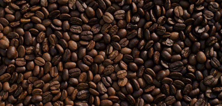 img-ecosystems-agro-coffee